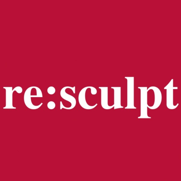 Image for re:sculpt training session